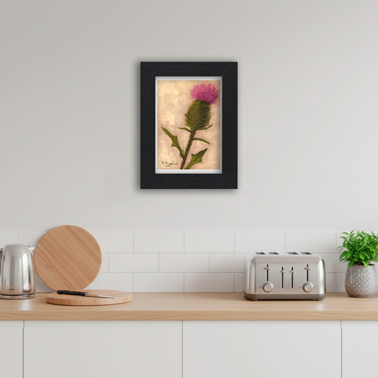 Black Framed Scottish Thistle Giclee Art Print in Kitchen