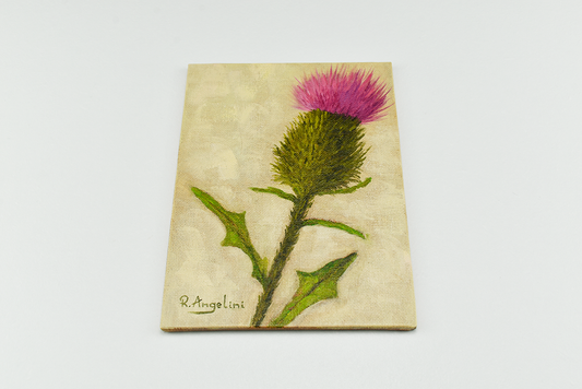 Scottish Thistle