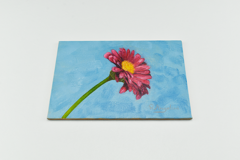Pink Daisy