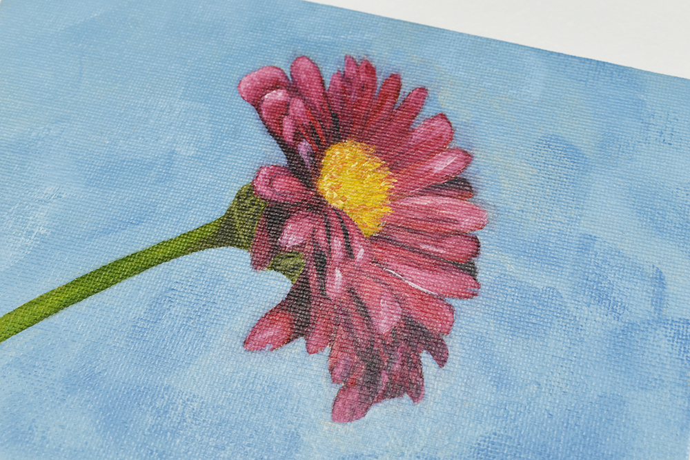 Pink Daisy