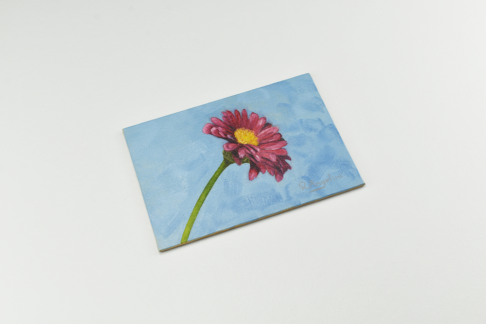 Pink Daisy