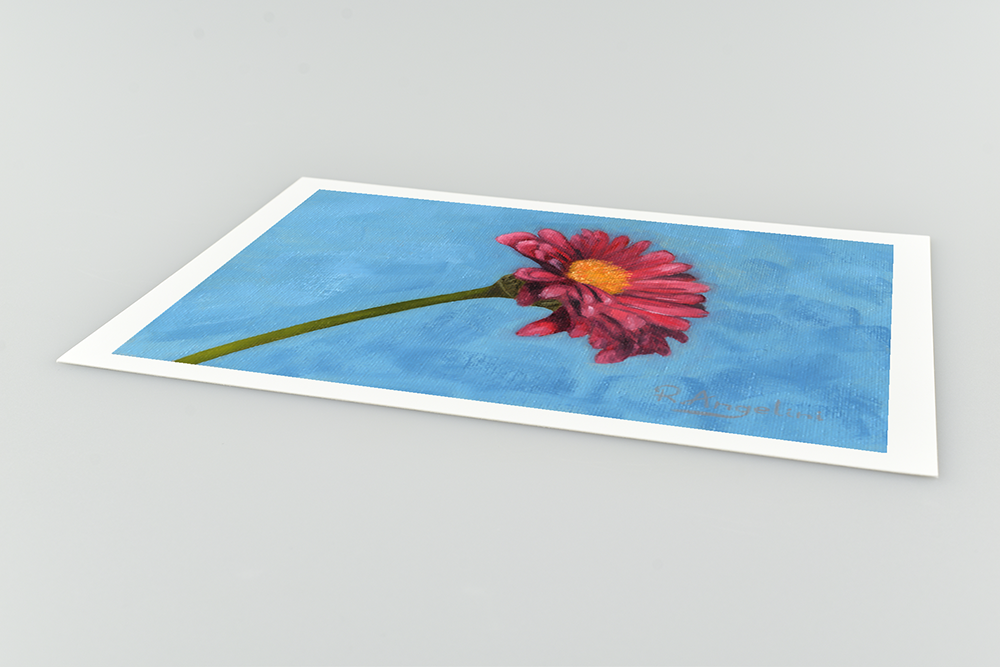 Pink Daisy - Giclee Art Print