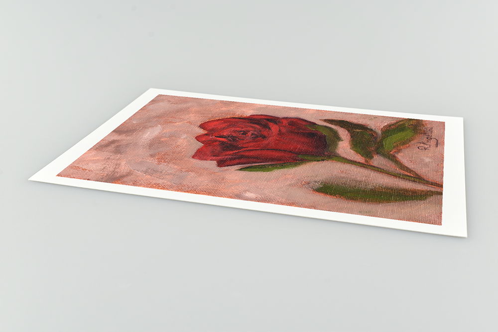 Red Rose - Giclee Art Print