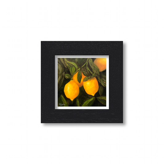 'Lemon Tree' - Giclee Print - Open Edition