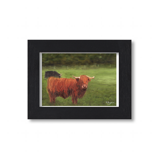 Black Framed Highland Cows Giclee Art Print