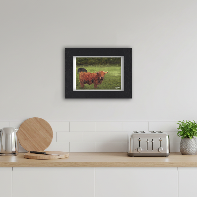 Black Framed Highland Cows Giclee Art Print in Kitchen