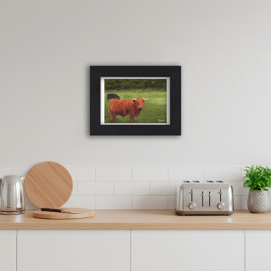 Black Framed Highland Cows Giclee Art Print in Kitchen