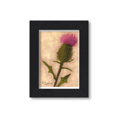 Black Framed Scottish Thistle Giclee Art Print