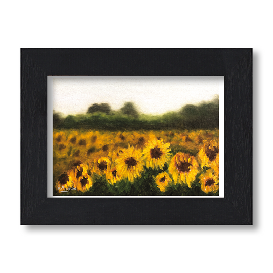 Sunflower Field - Giclée Art Print