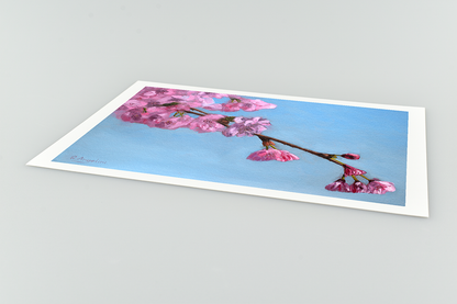 Cherry Blossom Tree Giclee Art Print Close Up
