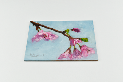 Cherry Blossom