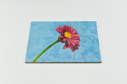Pink Daisy