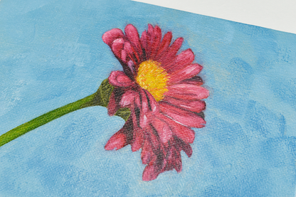 Pink Daisy