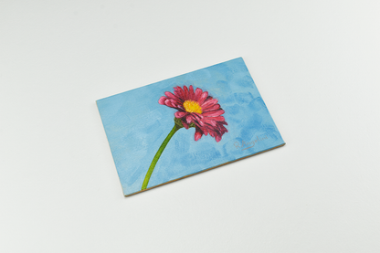Pink Daisy