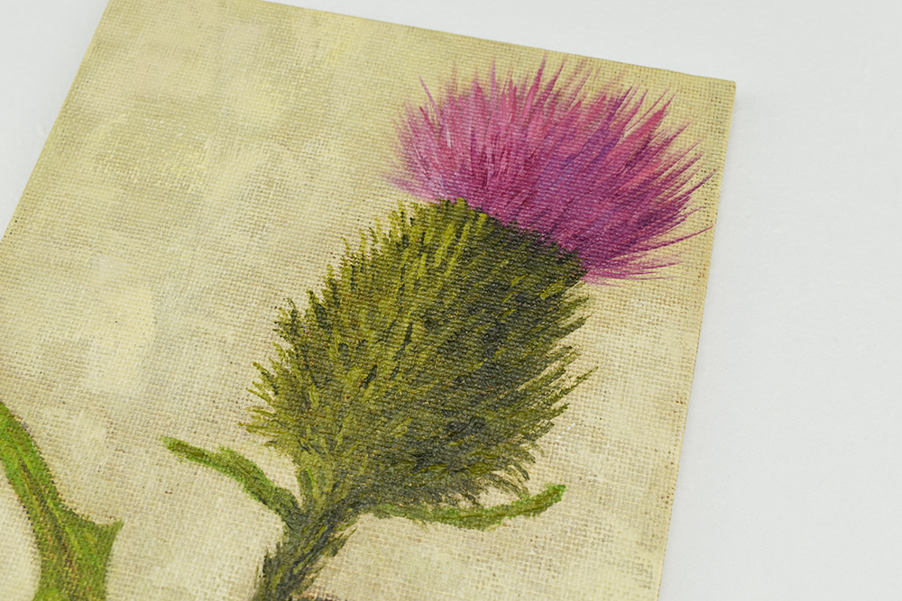 'Scottish Thistle' - Original Oil Painting