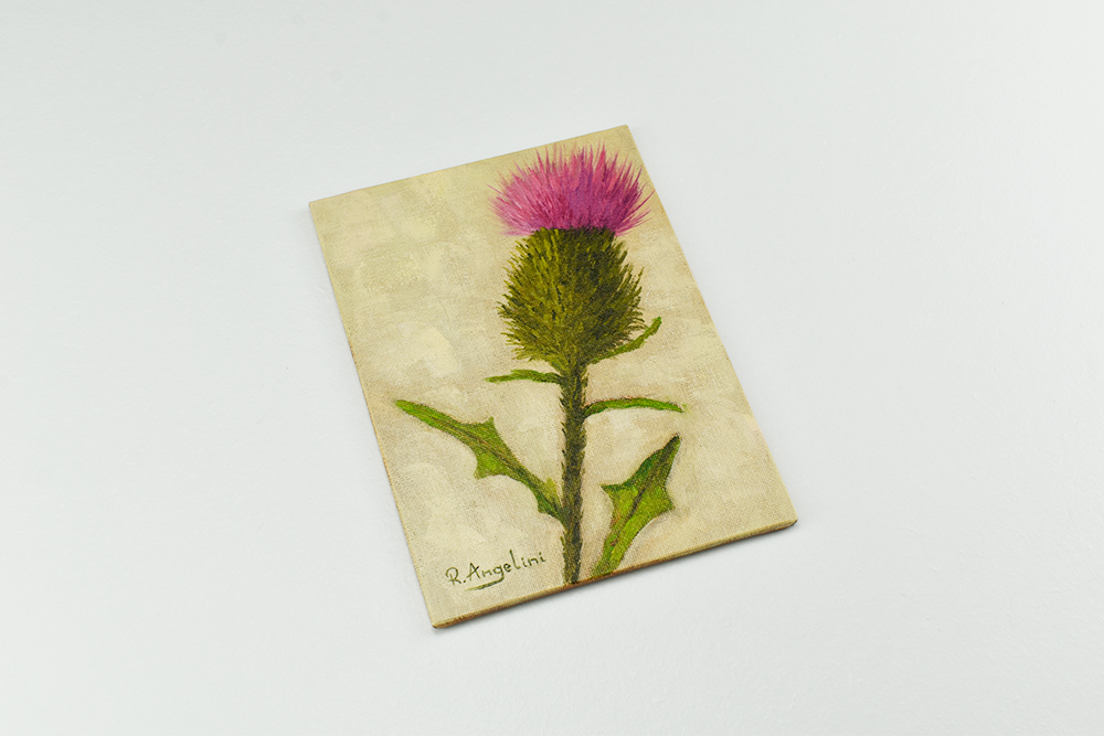 'Scottish Thistle' - Original Oil Painting