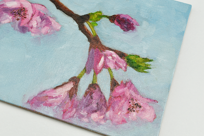 Cherry Blossom