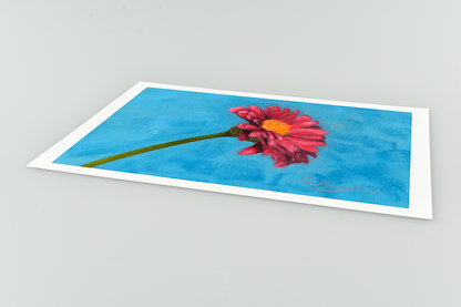 Pink Daisy - Giclee Art Print