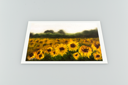Sunflower Field - Giclee Art Print