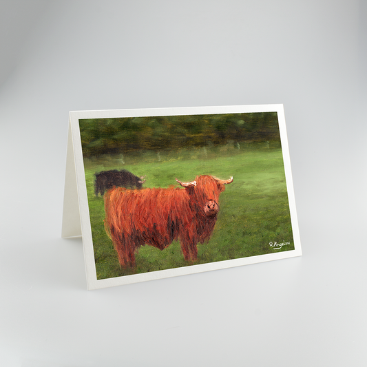 Highland Cows - A5 Greetings Cards