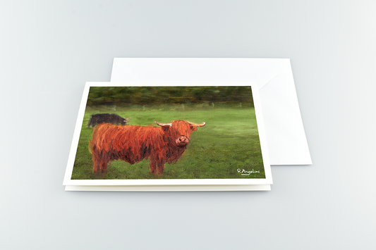 Highland Cows - A5 Greetings Cards with Envelope