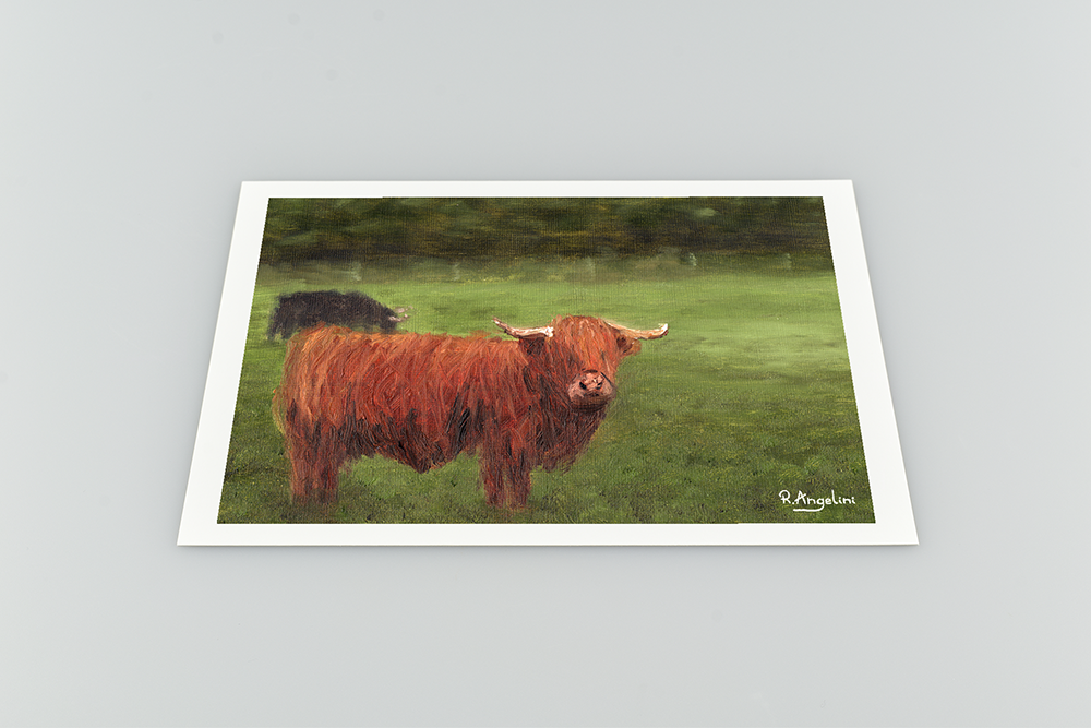 Highland Cows Giclee Art Print