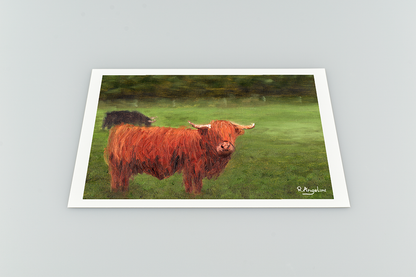 Highland Cows Giclee Art Print
