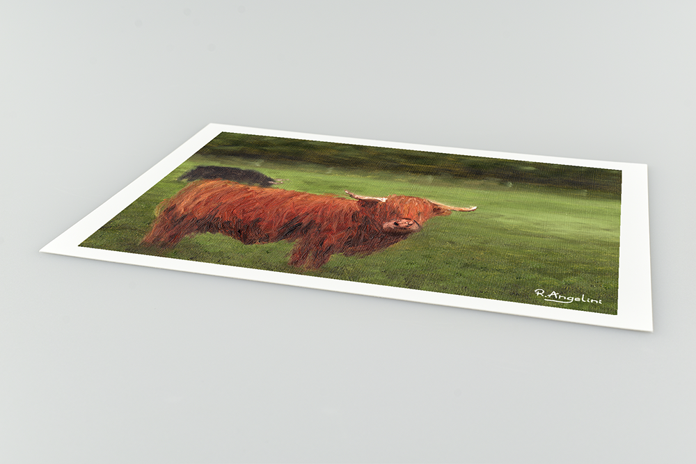 Highland Cows Giclee Art Print Close Up
