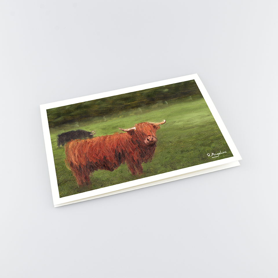 Highland Cows - A5 Greetings Cards