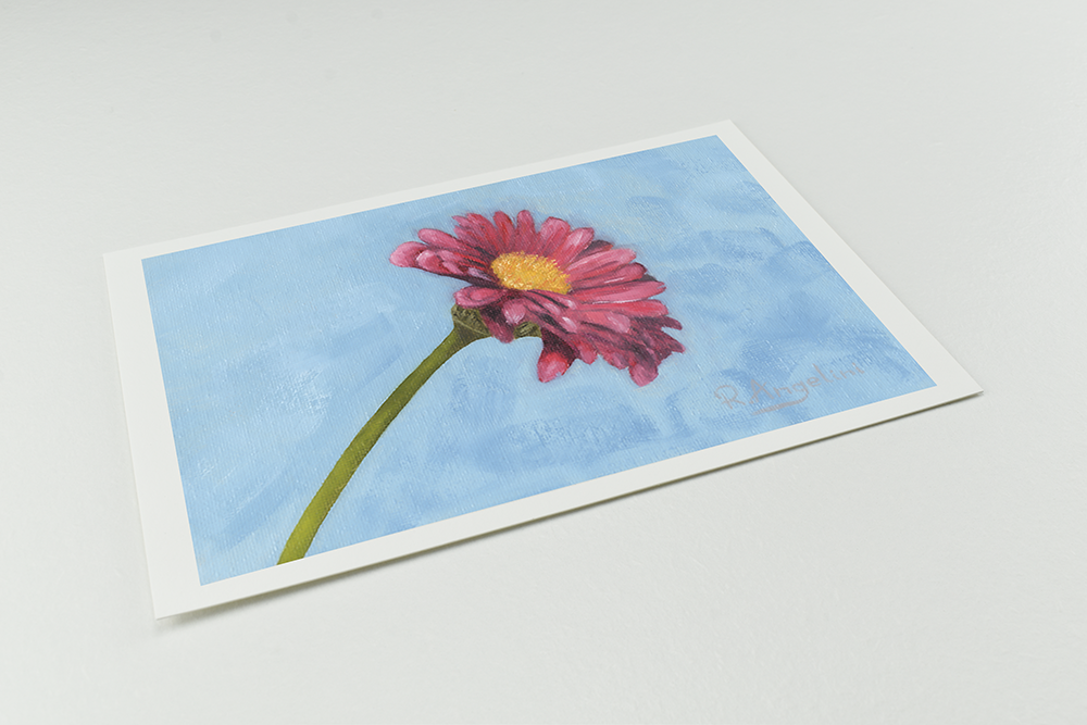 'Pink Daisy' - Giclee Print - Open Edition