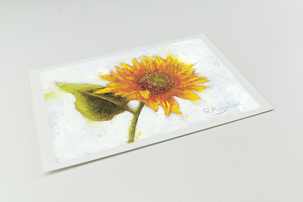 'Sunflower' - Giclee Print - Open Edition