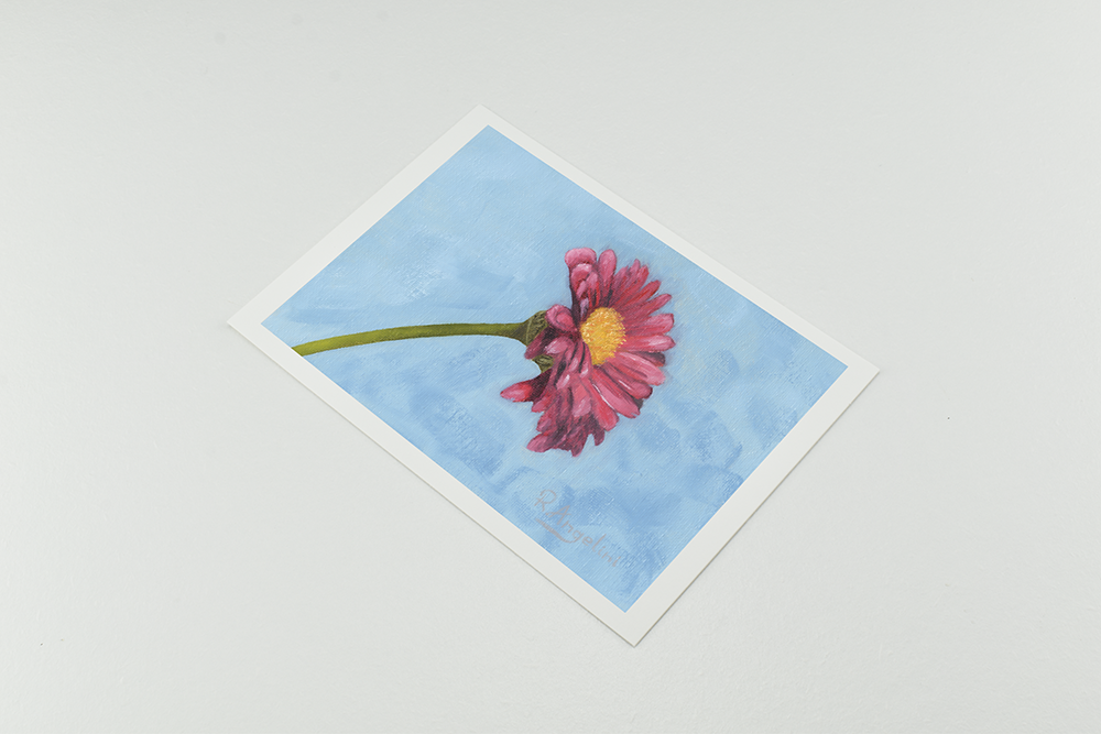 'Pink Daisy' - Giclee Print - Open Edition