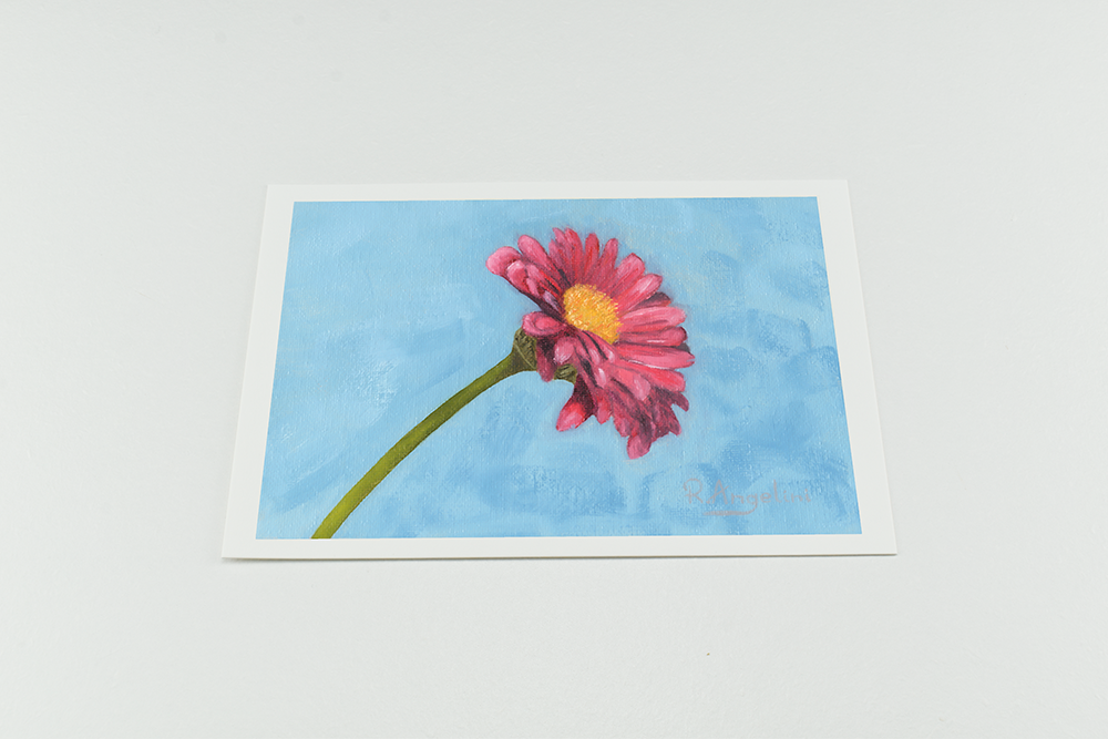 'Pink Daisy' - Giclee Print - Open Edition