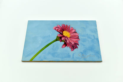 Pink Daisy - Original Artwork