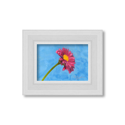 Pink Daisy - Original Artwork