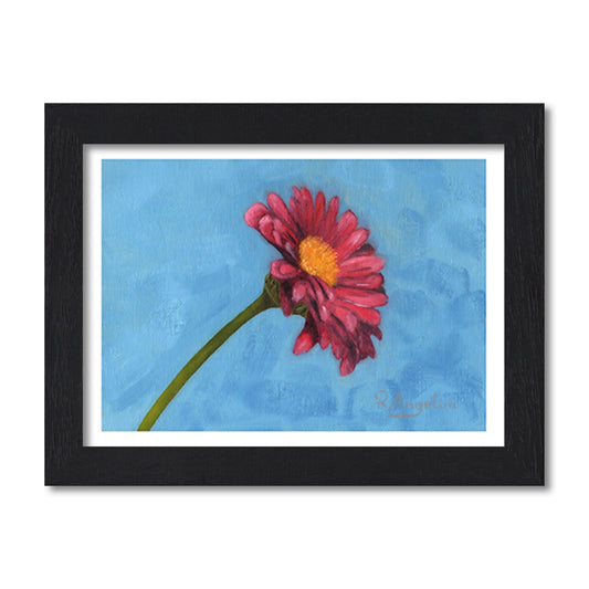 Pink Daisy | Still Life Art Print