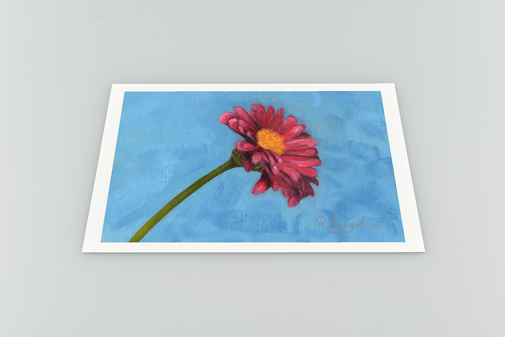 Pink Daisy Giclee Art Print