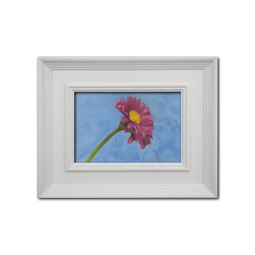 'Pink Daisy' - Original Oil Painting