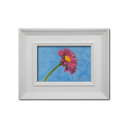 Pink Daisy