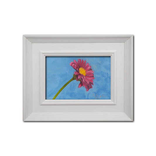 'Pink Daisy' - Original Oil Painting