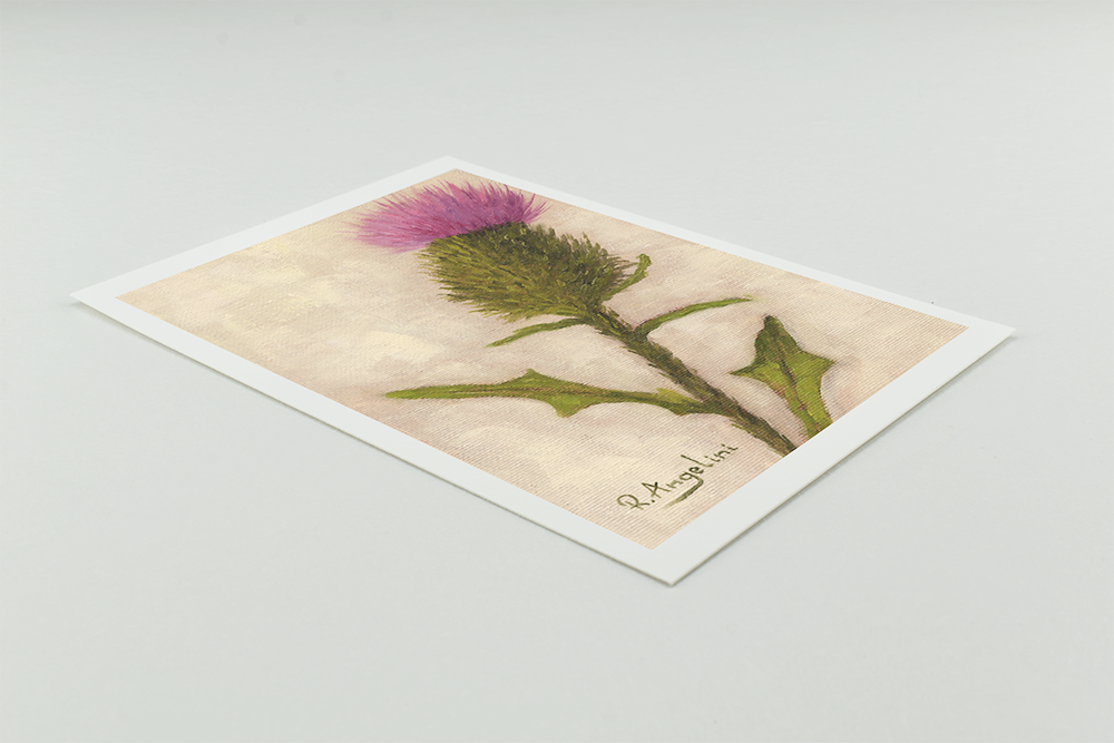 'Scottish Thistle' - Giclee Print - Open Edition