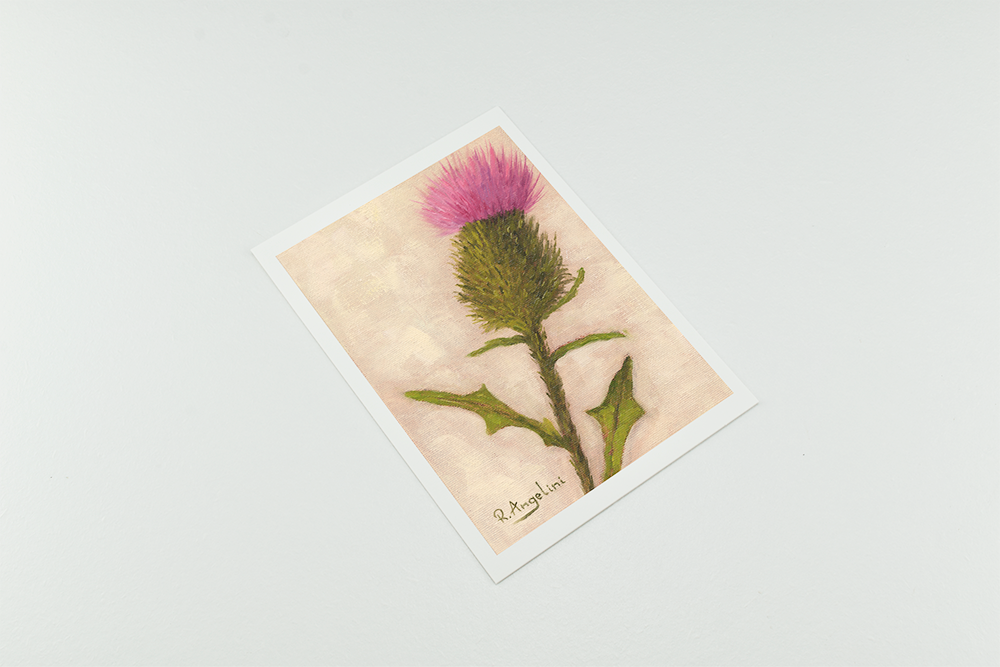 'Scottish Thistle' - Giclee Print - Open Edition