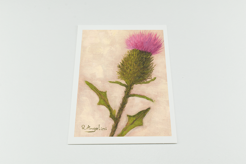 'Scottish Thistle' - Giclee Print - Open Edition