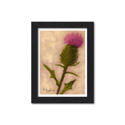 Scottish Thistle - Giclée Art Print