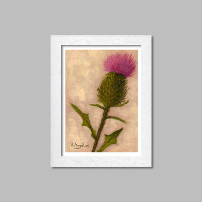 Scottish Thistle - Giclée Art Print