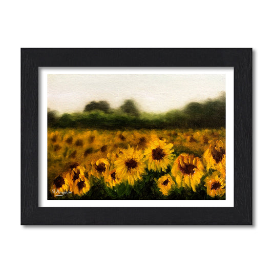 Sunflower Field - Giclée Art Print