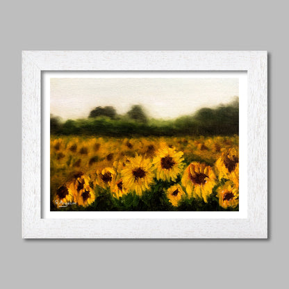 Sunflower Field | Landscape Art Print