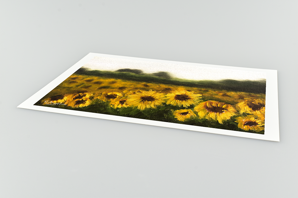 Sunflower Field Giclee Art Print Close Up