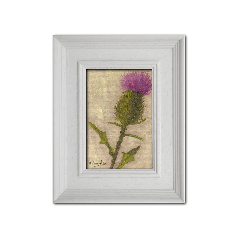 'Scottish Thistle' - Original Oil Painting