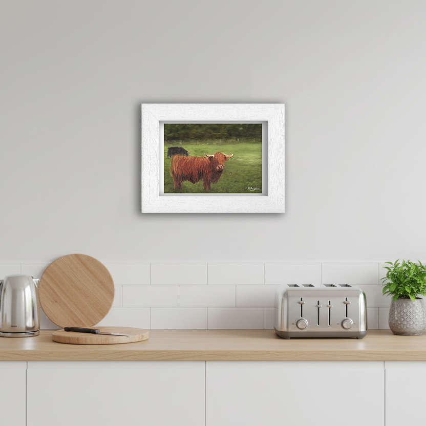 White Framed Highland Cows Giclee Art Print in Kitchen